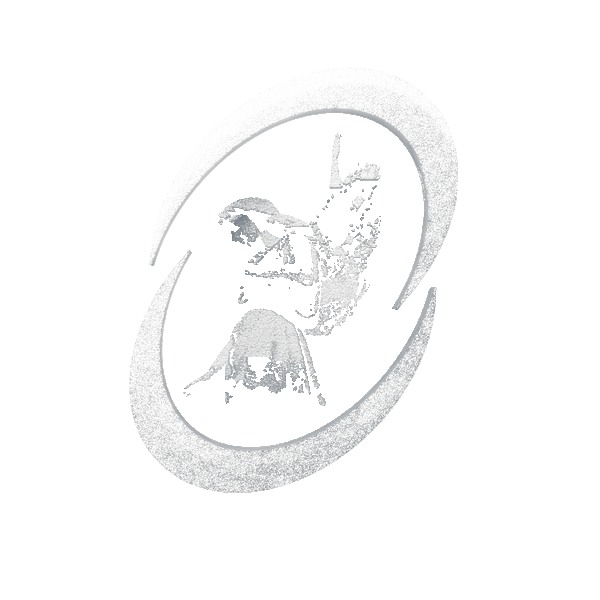 HIDDEN AGENDA logo